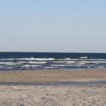 Sandy 1 *