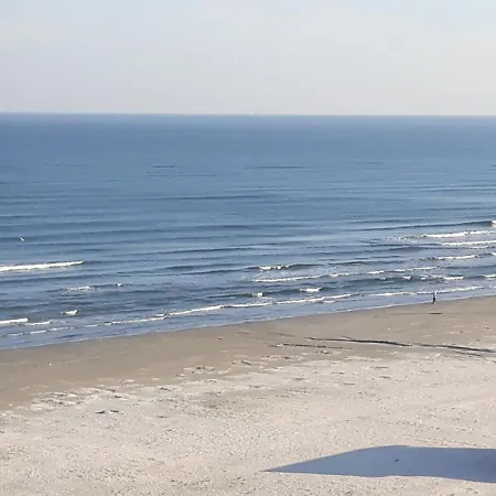 Sandy 1 *
